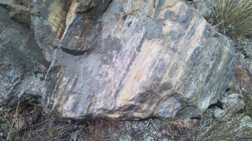 Гигантские зелёные валуны для ландшафтного дизайна весом более 5 тонн купить в Радужном